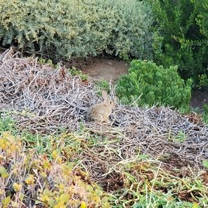 Meet your Posher, Lesli